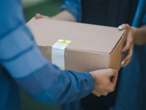 rosebox bfdscxmqvyc unsplash